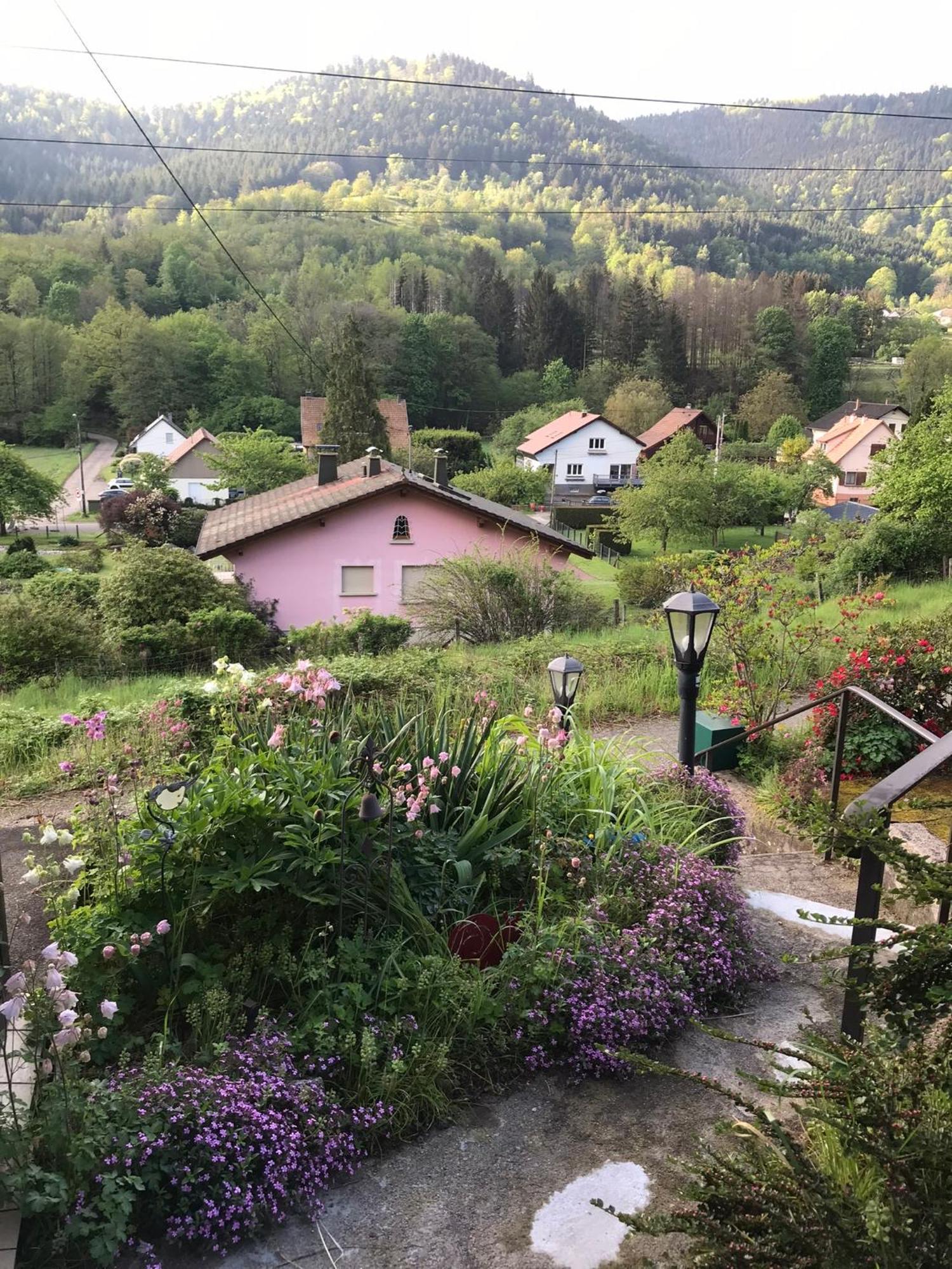 Gite Monts Et Merveilles Mollau Exterior photo